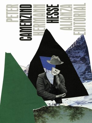 cover image of Peter Camenzind